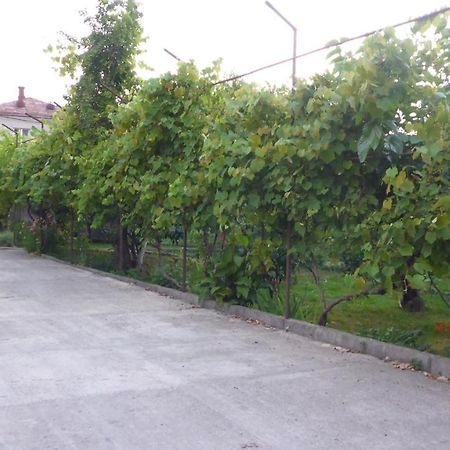Guest House U Aleny Gagra Luaran gambar